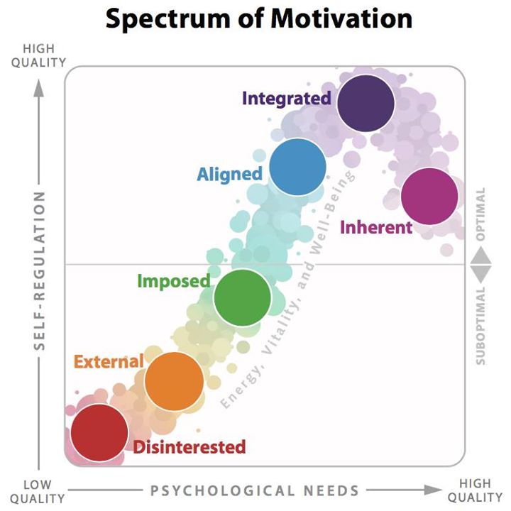 Spectrum of motivation model